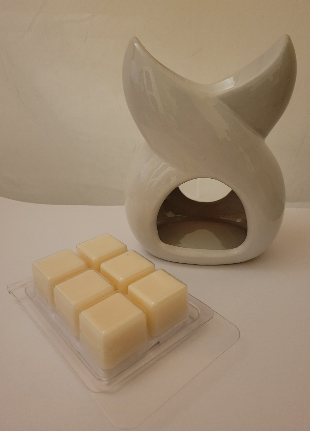 Twisted Burner and Wax Melt Set