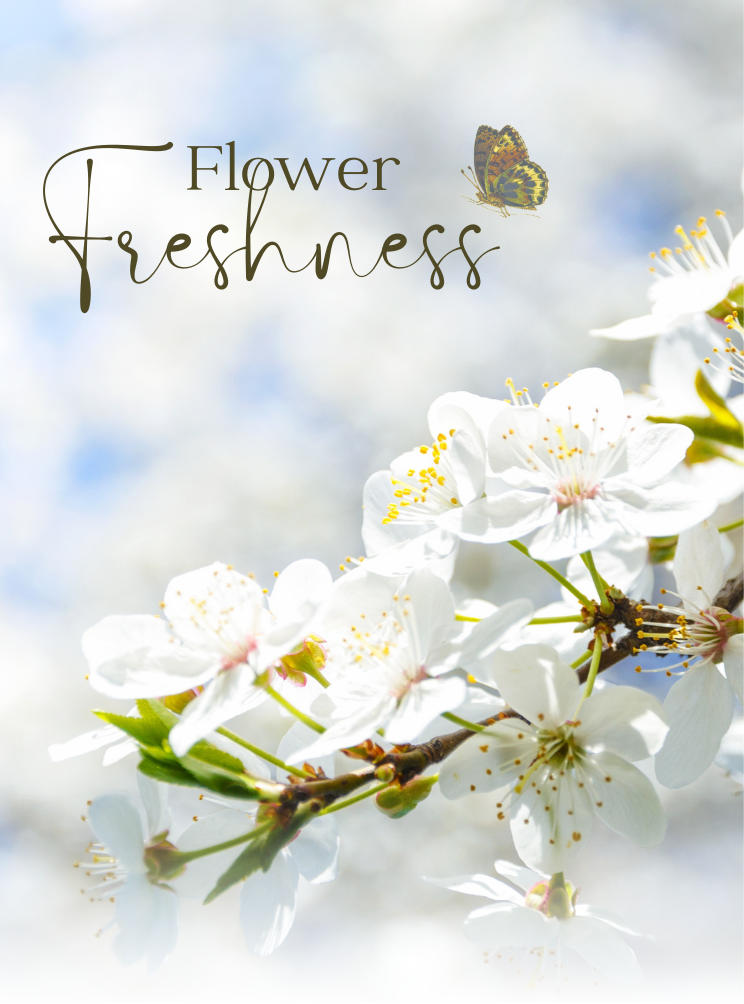 Fresh and Refreshing Scented Wax Melts