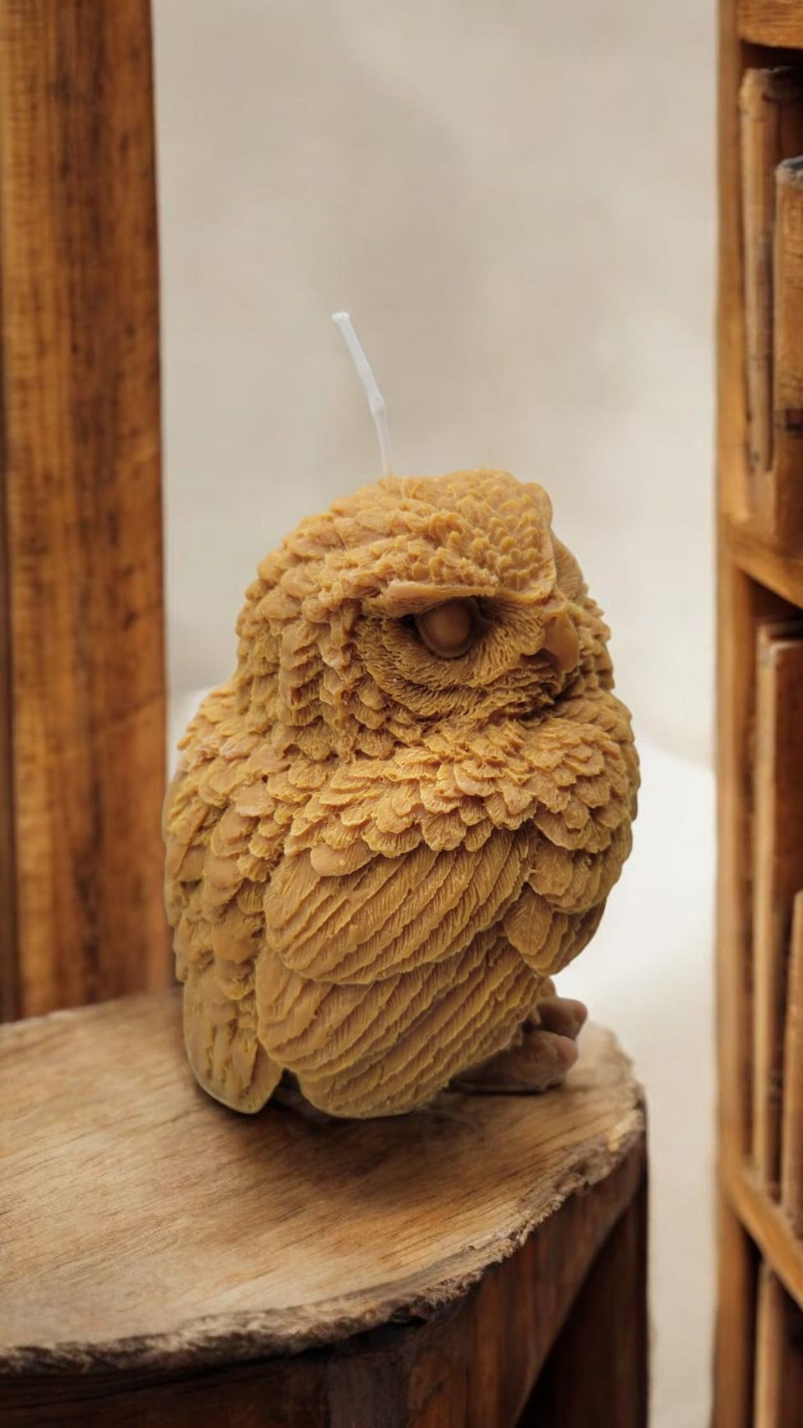 Forest Owl Scented Candle 🦉 🌳