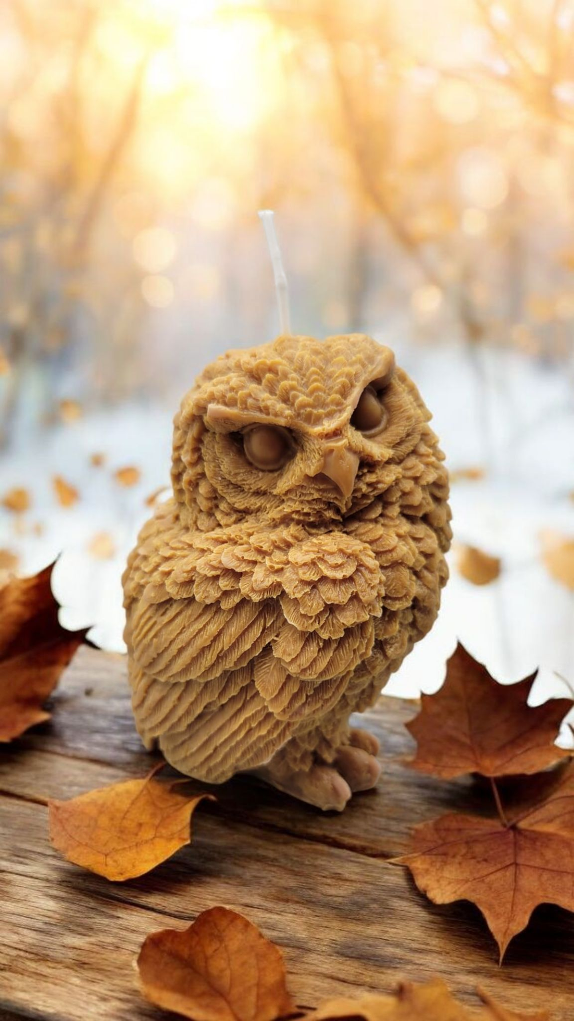 Forest Owl Scented Candle 🦉 🌳